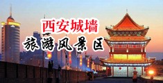 强奸射精视频中国陕西-西安城墙旅游风景区